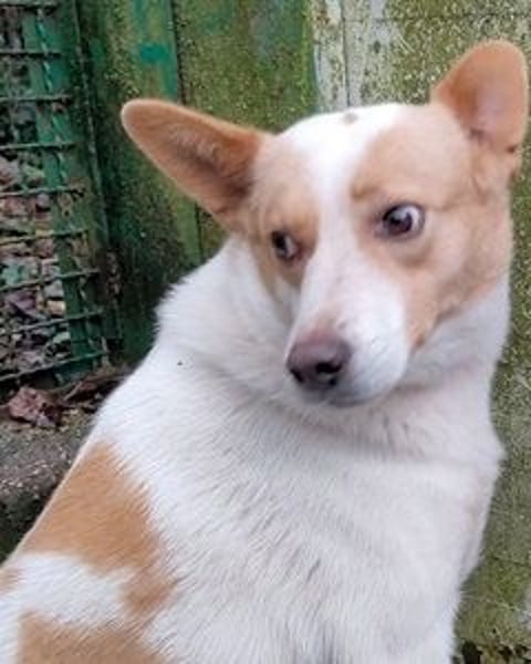 Shylyn - Es war einmal ...