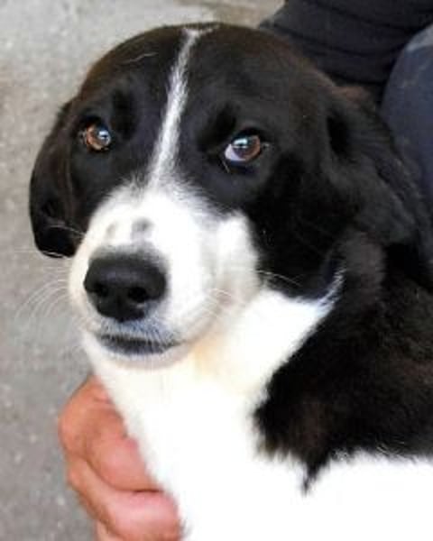 Dorezia - Teamplayerin sucht Stammplatz