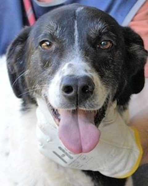 Lorianne - Diplomierte Zuhörerin sucht Sofa & Sonne