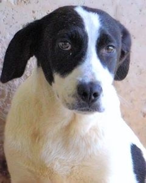 Raakel - Ein Anfang, der nie kam