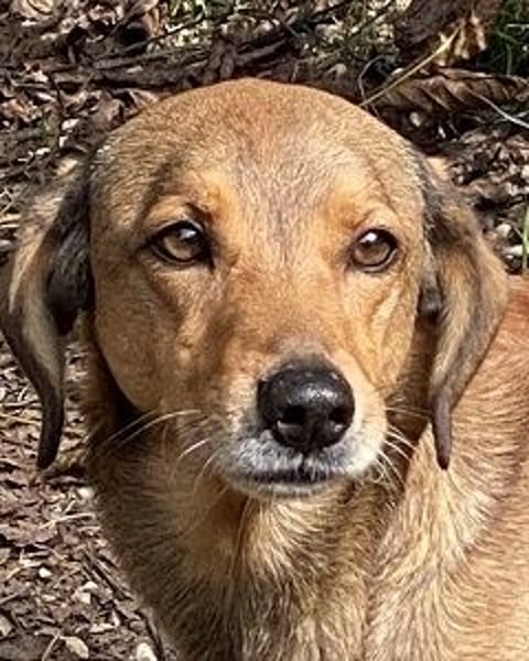 Kiro - Einmal alles auf (Neu)Anfang bitte!