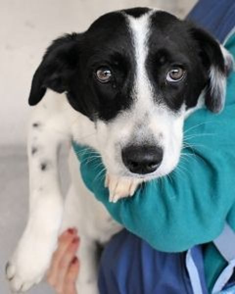 Deliane - Navigation auf "Zuhause" gestellt