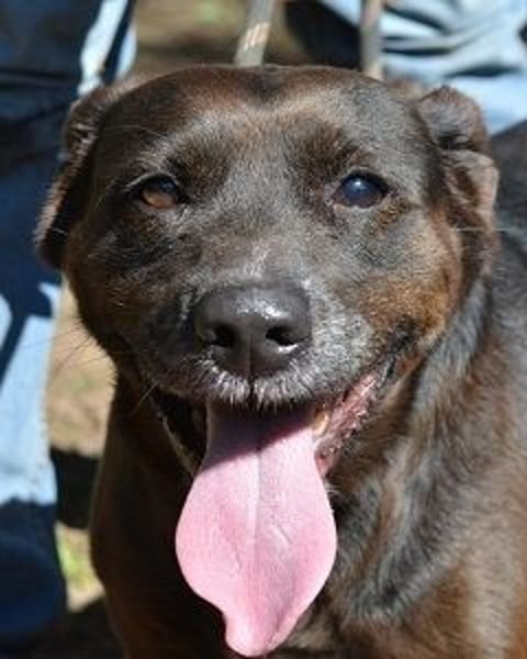 Rellyt - mit dem ganz besonderen Blick