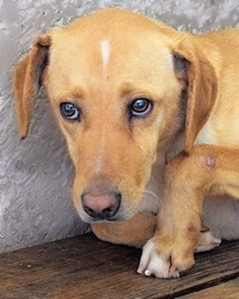 Bendix - wenn du mutig bist, dann bin ich es auch!