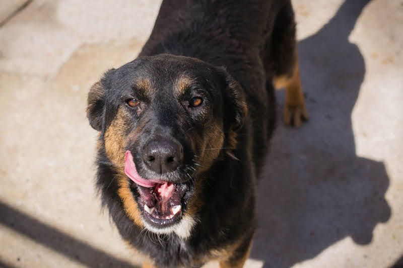 Nia: 50cm großes, aktives Mädchen