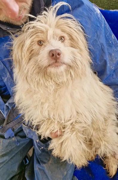 Todtrauriger Boomer auf der Suche nach Glück