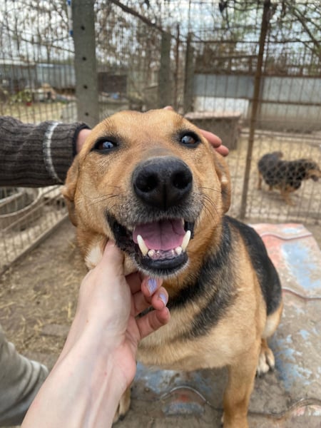 Zengö wartet auf ihr Happy End