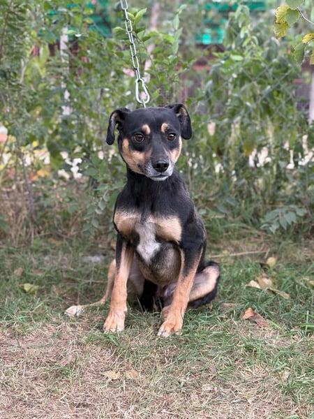 Malna - Möchte Teil deiner Familie werden!