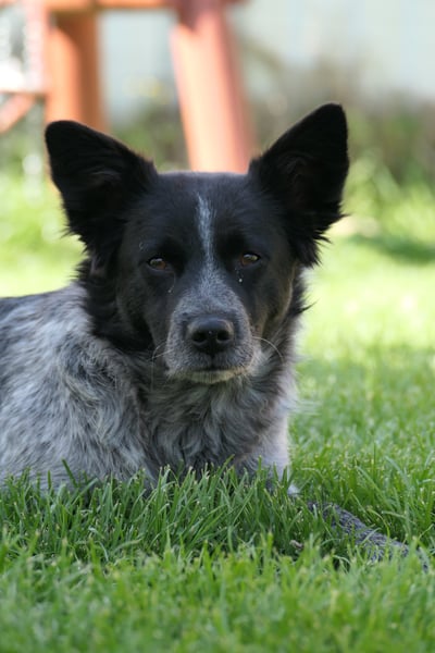 Tarja, sucht Menschen die ihr zeigen wie schön das Leben ist