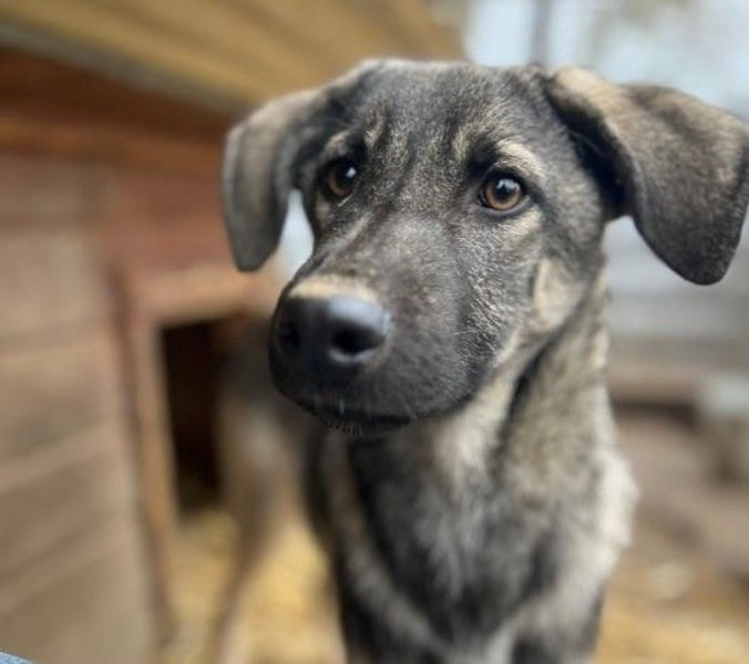 GLENNIE - verspielt & fröhlich