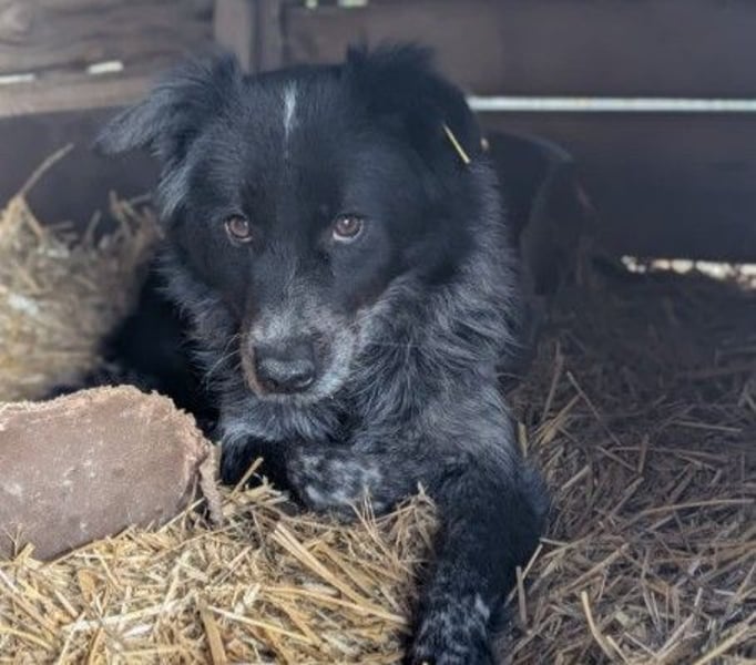 schüchterne, wunderschöne Nila