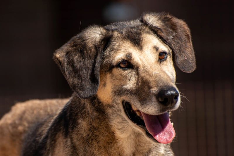 Theo sucht seine Menschen