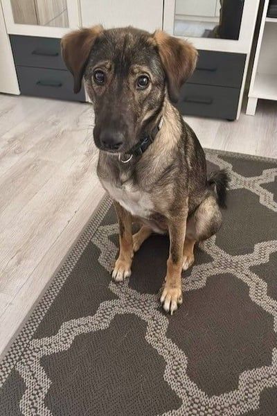 Kassandra – vorsichtige Schönheit sucht ihren Herzensmenschen (41065 Mönchengladbach)