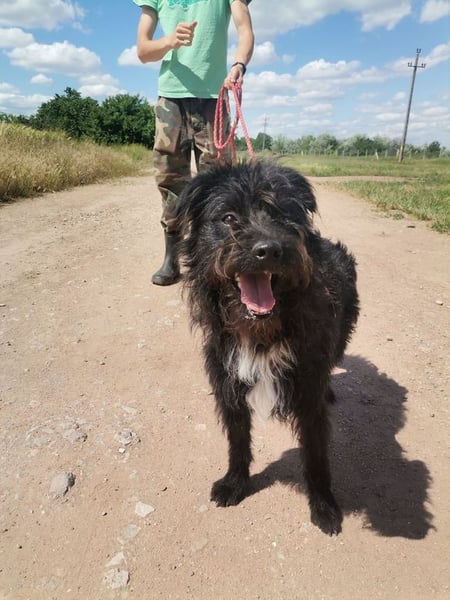 Zola wartet genau auf DIch