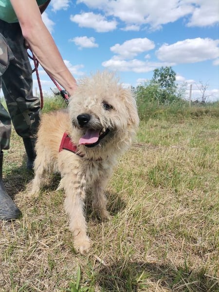 Ziggy wartet genau auf DIch