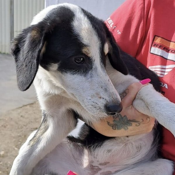 BRITA - MÖCHTE DIE WELT ERKUNDEN