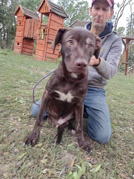 Philip, geboren 28.04.2025, 53cm sucht sein Zuhause