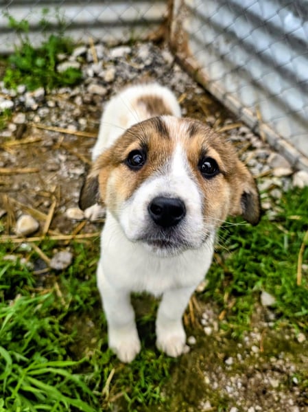 Bane ist bereit für Abenteuer