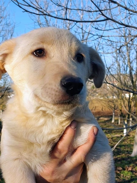 Ralph ist ein echter Schatz!