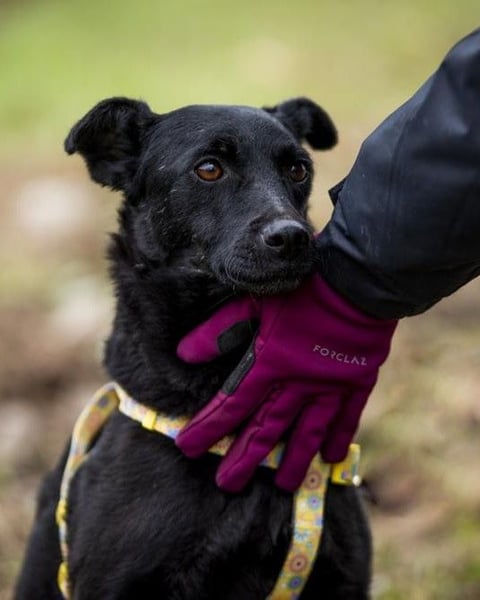 Adri VA, weiß was sie will