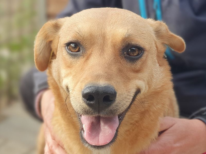 ♥PAULA♥ hübsche, sehr liebe, noch etwas zurückhaltende Zuckerschnute 46 cm