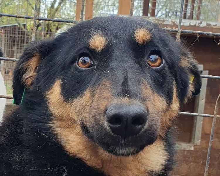 ♥ADRIANA♥ hübsche, eher zarte und zurückhaltende Zuckermaus 49 cm