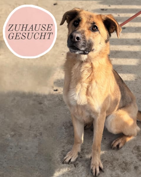 Luna wartet auf ihr Glück❤️