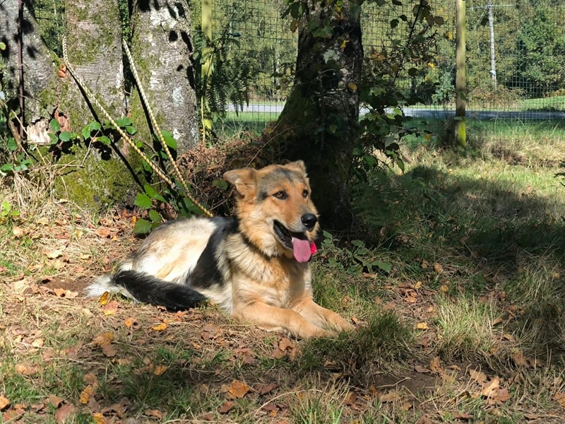 Milka