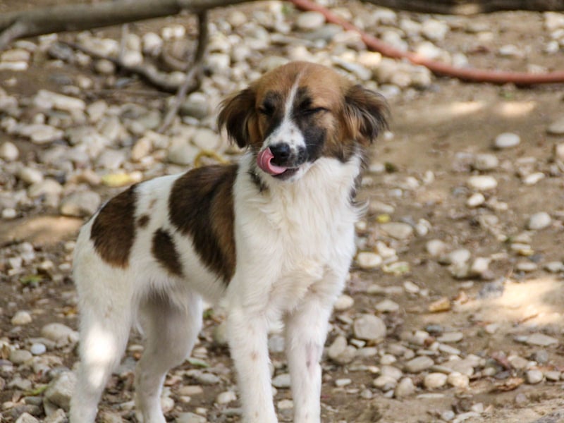 WILHELM, lebensfroher Weltentdecker