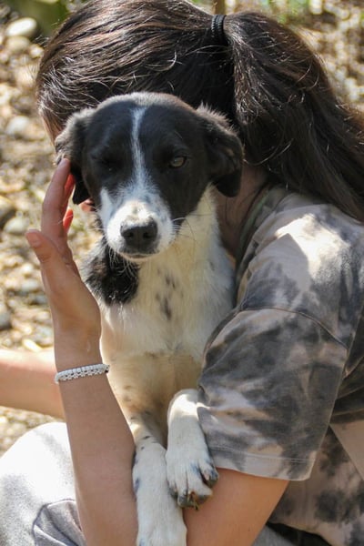 Halli-Hallo, ich bin der zuckersüße ILIAS und suche ein liebevolles Zuhause