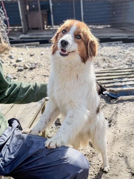Fröhlicher Traumprinz FRIEDRICH möchte dich verzaubern