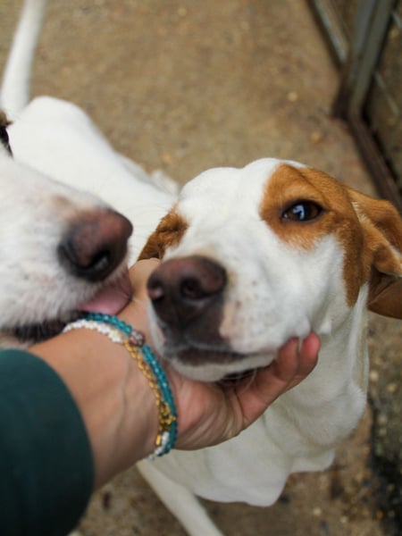 TAKITA lebensfroh, freundlich, für jeden Spaß zu haben