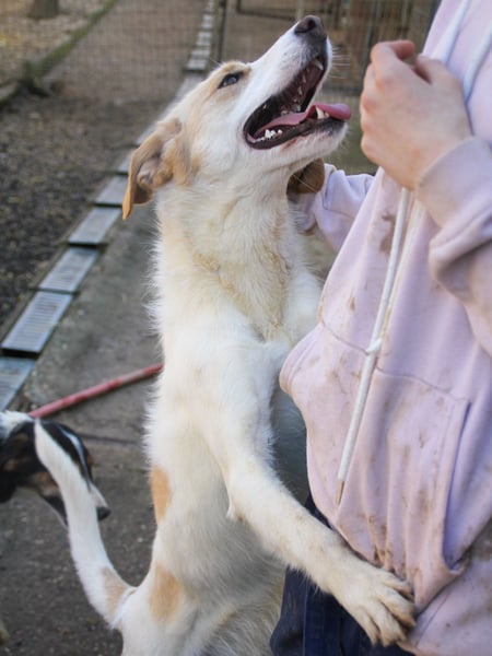 Lebensfrohe LIMA bezaubert durch ihre fröhliche und liebe Art