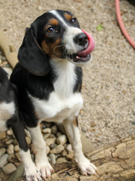 Zauberhafte LOARA will die Welt entdecken