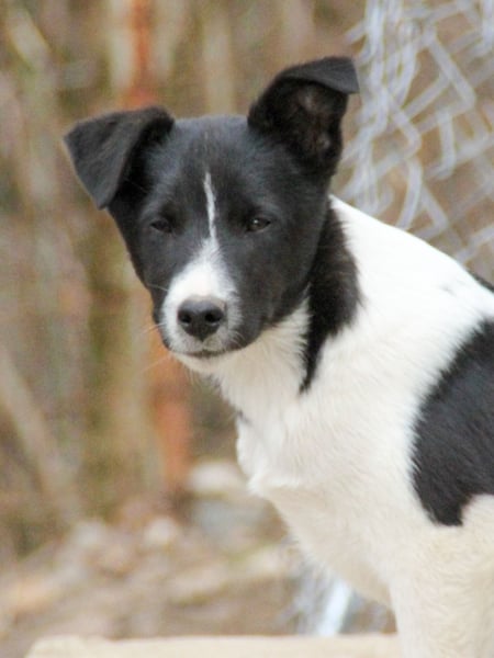 Charmante CHANTAL ist noch etwas zurückhaltend