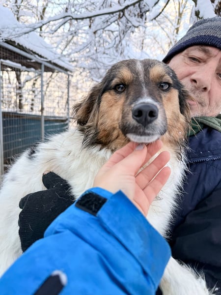 Herzensmensch gesucht - liebe JUILIANA hofft auf ihr Glück