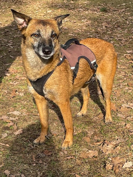 NISHA bezaubernd, liebesbedürftig, wundervoll such nach DIR