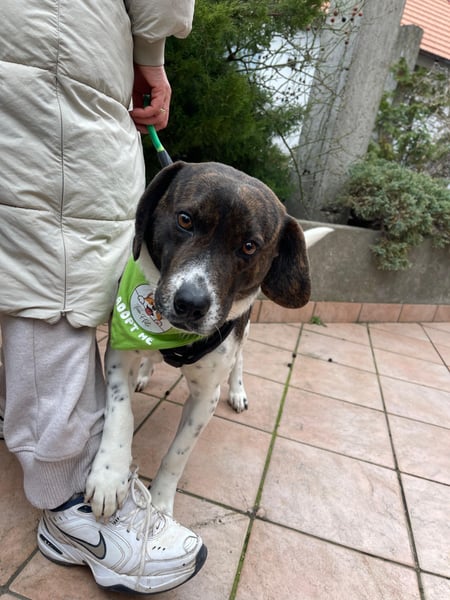 MAILO – Ein ausgeglichener Schatz mit besonderen Augen