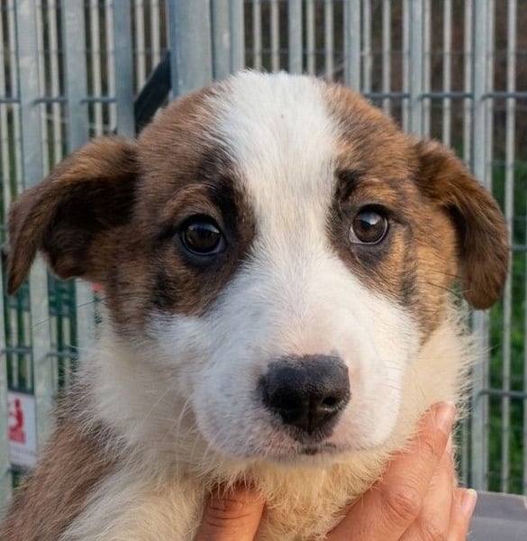 Dragoow - auf ins neue Leben!