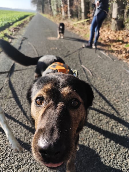 Elena sucht ihr Glück