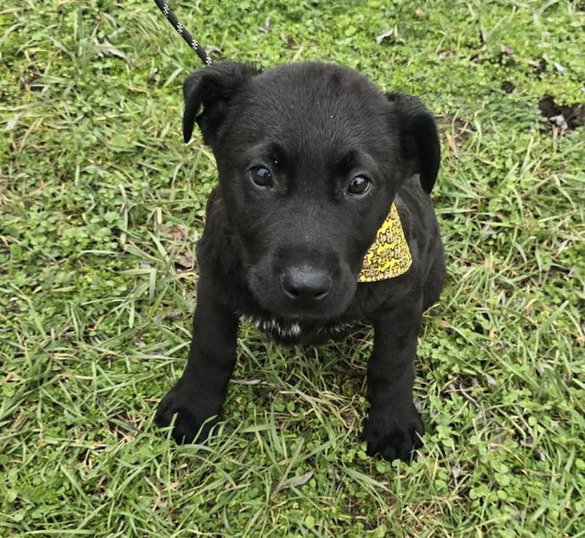 Gerry - einer von 8 Geschwistern ...