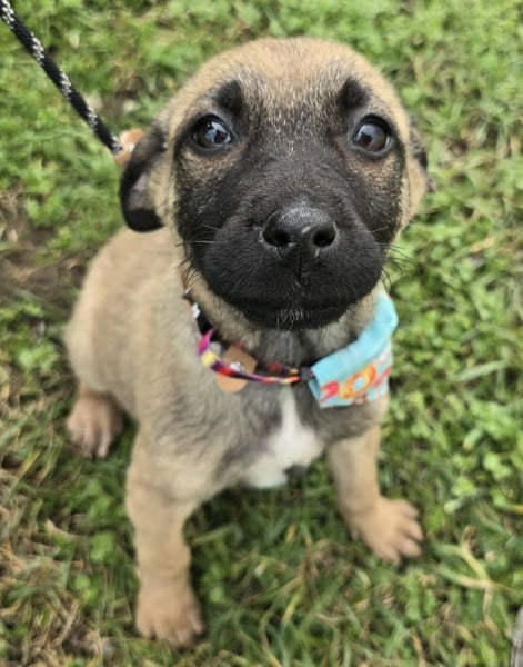 Glee - wie Müll entsorgt