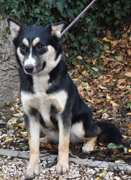 Vanessza - Menschen mit Zeit gesucht!