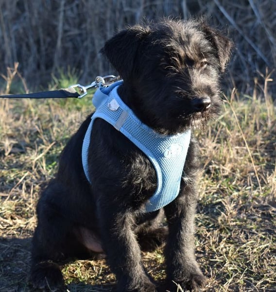 Robin Hood - Freiheitskämpfer