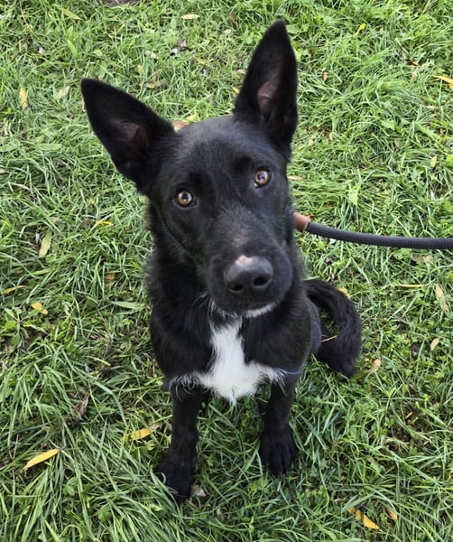 Taboo - komm spiel mit mir!