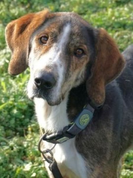 Sanfter Marco sucht sein Glück