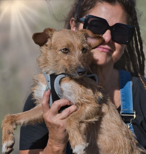 Ruggine – ein Seelchen