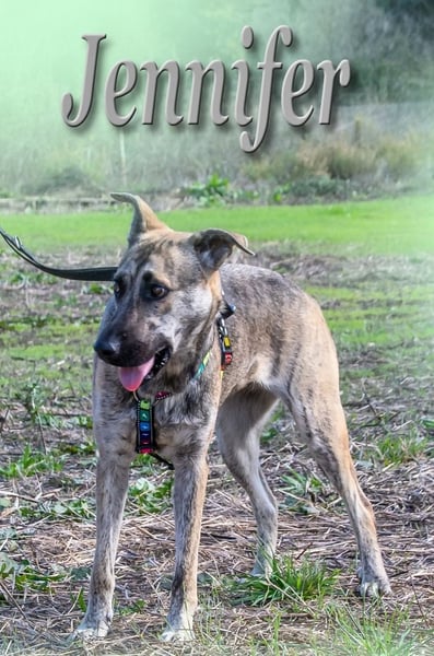 Jennifer – ein liebes Mädchen