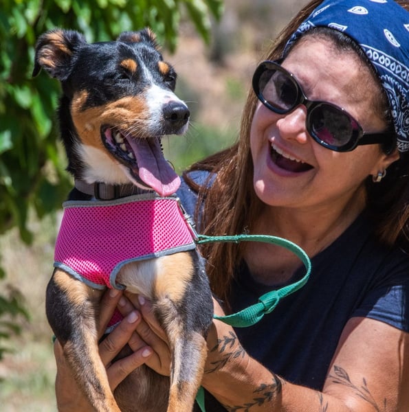 Vicky - bereit für ein neues Kapitel