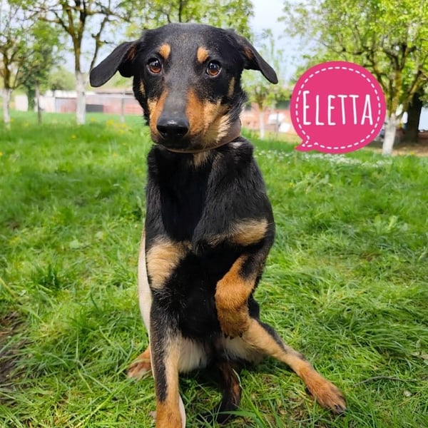 Eletta ein sanfter Engel